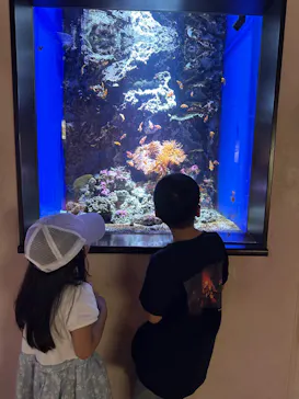 仙台うみの杜水族館に投稿された画像（2024/9/19）