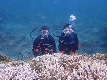 初心者専門店NEOMARINE石垣島に投稿された画像（2024/9/19）