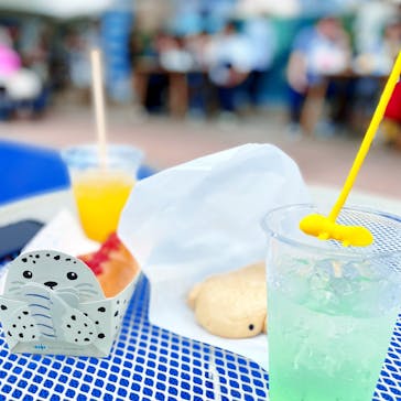 京都水族館に投稿された画像（2024/9/19）