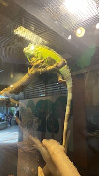 恩賜上野動物園に投稿された画像（2024/9/19）