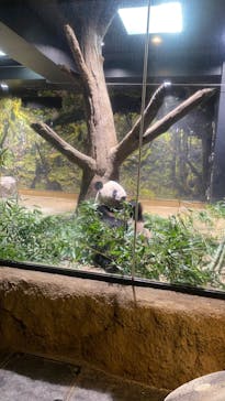 恩賜上野動物園に投稿された画像（2024/9/19）