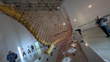 金沢21世紀美術館に投稿された画像（2024/9/19）