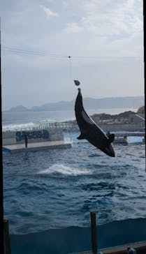 鴨川シーワールドに投稿された画像（2024/9/19）