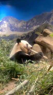 恩賜上野動物園に投稿された画像（2024/9/19）