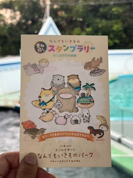 しながわ水族館に投稿された画像（2024/9/19）