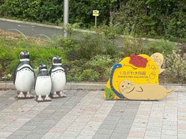 しながわ水族館に投稿された画像（2024/9/19）