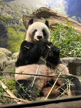 恩賜上野動物園に投稿された画像（2024/9/19）