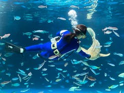 サンシャイン水族館に投稿された画像（2024/9/19）