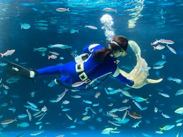 サンシャイン水族館に投稿された画像（2024/9/19）