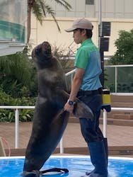 サンシャイン水族館に投稿された画像（2024/9/19）