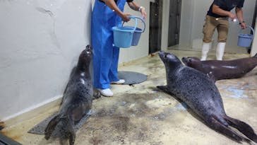 伊豆・三津シーパラダイスに投稿された画像（2024/9/19）