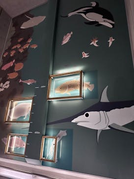 AQUARIUM × ART　atoa×神戸どうぶつ王国に投稿された画像（2024/9/19）