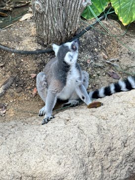 AQUARIUM × ART　atoa×神戸どうぶつ王国に投稿された画像（2024/9/19）