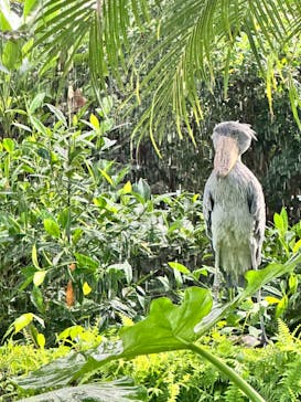 AQUARIUM × ART　atoa×神戸どうぶつ王国に投稿された画像（2024/9/19）