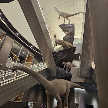 福井県立恐竜博物館に投稿された画像（2024/9/19）