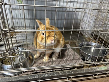 那須高原りんどう湖ファミリー牧場に投稿された画像（2024/9/19）