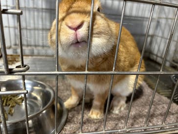 那須高原りんどう湖ファミリー牧場に投稿された画像（2024/9/19）