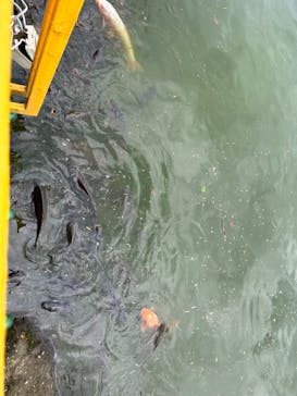 那須高原りんどう湖ファミリー牧場に投稿された画像（2024/9/19）