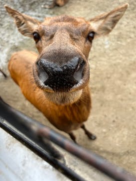 那須サファリパークに投稿された画像（2024/9/19）