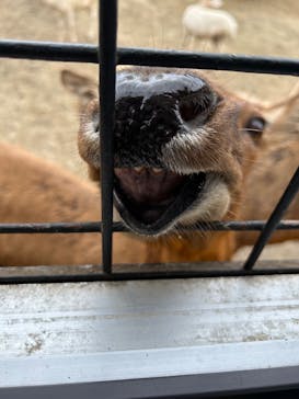 那須サファリパークに投稿された画像（2024/9/19）