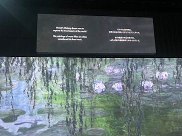 モネ＆フレンズ・アライブに投稿された画像（2024/9/19）