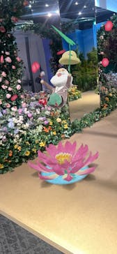 モネ＆フレンズ・アライブに投稿された画像（2024/9/19）