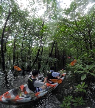 西表島 ADVENTURE PiPi（アドベンチャーピピ）に投稿された画像（2024/9/19）