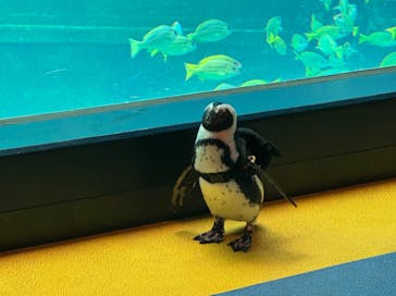 箱根園水族館に投稿された画像（2024/9/19）
