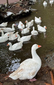箱根園水族館に投稿された画像（2024/9/19）