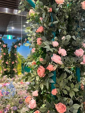 モネ＆フレンズ・アライブに投稿された画像（2024/9/19）