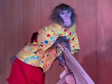 おさるの湯もみ処　おさ湯に投稿された画像（2024/9/19）