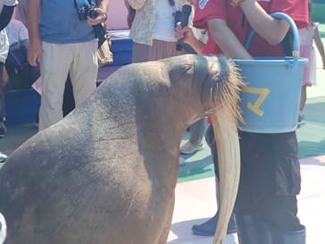 ゼロ距離水族館 伊勢シーパラダイスに投稿された画像（2024/9/19）