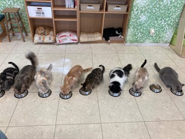 Moff animal world BIGHOPガーデンモール印西店に投稿された画像（2024/9/19）