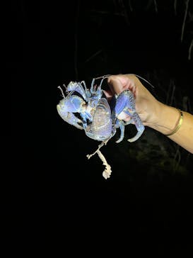 imtida宮古島に投稿された画像（2024/9/19）