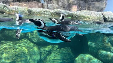 横浜・八景島シーパラダイスに投稿された画像（2024/9/20）
