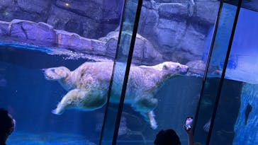 横浜・八景島シーパラダイスに投稿された画像（2024/9/20）