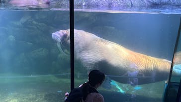 横浜・八景島シーパラダイスに投稿された画像（2024/9/20）