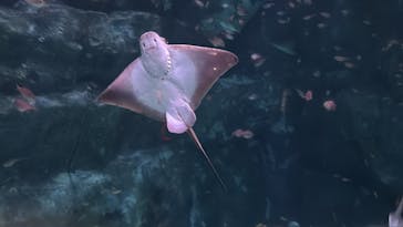 横浜・八景島シーパラダイスに投稿された画像（2024/9/20）