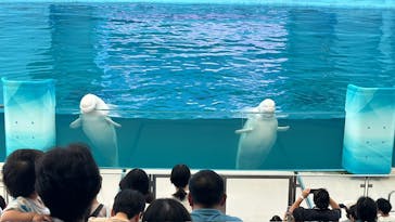 横浜・八景島シーパラダイスに投稿された画像（2024/9/20）