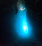 武藤潜水に投稿された画像（2024/9/20）