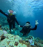 武藤潜水に投稿された画像（2024/9/20）