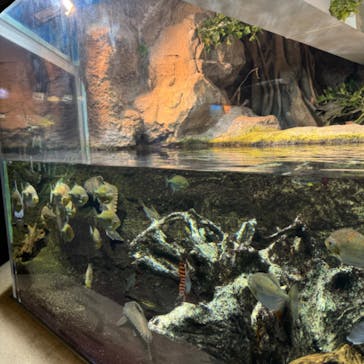 サンシャイン水族館に投稿された画像（2024/9/20）