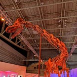 巨大恐竜展2024に投稿された画像（2024/9/20）