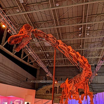 巨大恐竜展2024に投稿された画像（2024/9/20）