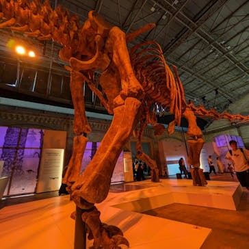 巨大恐竜展2024に投稿された画像（2024/9/20）