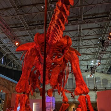 巨大恐竜展2024に投稿された画像（2024/9/20）