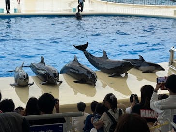 マリンワールド海の中道に投稿された画像（2024/9/20）