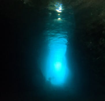 武藤潜水に投稿された画像（2024/9/20）