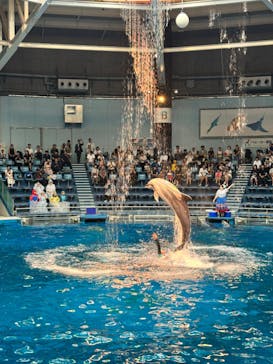 マクセル アクアパーク品川に投稿された画像（2024/9/20）