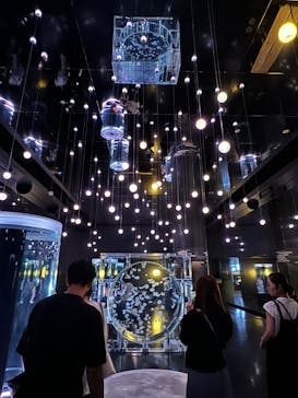 マクセル アクアパーク品川に投稿された画像（2024/9/20）